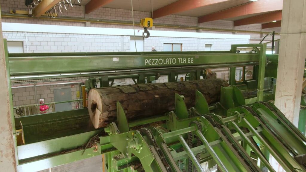 Mittenaar - Caricatronchi - dimensioni grandi