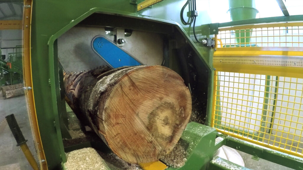 vlcsnap-2024-11-25-08h49m54s168